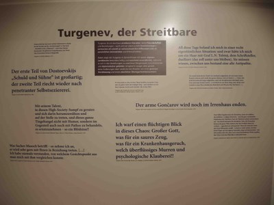 Raum 8: Knotenpunkte - Turgenevs kulturelles Netzwerk (4)